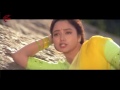 Jil Jil Ani Mogindi Video Song ¦¦ Pelli Peetalu Movie ¦¦ Jagapathi Babu, Soundarya