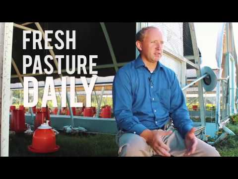 Pastured Poultry: Better Way Forward