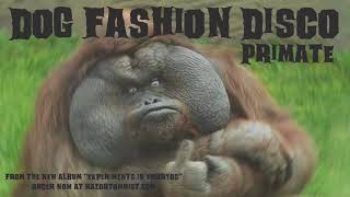 Watch Dog Fashion Disco Primate video