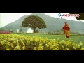 Rakshasudu Songs - Malli Malli - Chiranjeevi, Suhasini  - Ganesh Videos