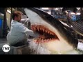 Every Shark Attack [MASHUP] | Deep Blue Sea | TNT