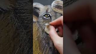 Прайд ❤️🦁 #Shortvideo #Art #Artist #Painting #Художник  #Portrait #Oilpastel #Animals #Shorts #Lion