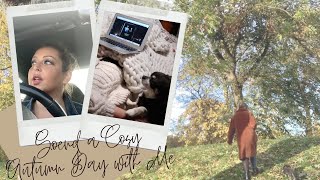 SPEND A COSY AUTUMN DAY WITH ME - DRIVING | HAUL | AUTUMN WALKS - Tanya Louise