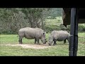 South Africa Movie 2011 South Africa Movie 2011