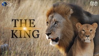 The King Unreal Animal Of Earth हद The Planet Earth