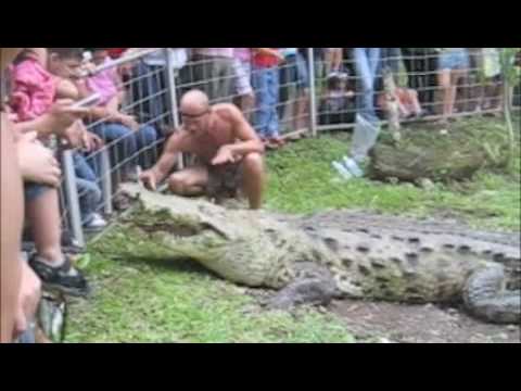 Crocodile Man