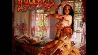 Watch Avulsed Burnt But Not Carbonized video