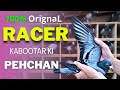 How to Select a Good Racing Pigeon | Qasid Kabootar Ki Pehchan | Orignal Racer ki Pehchan Urdu