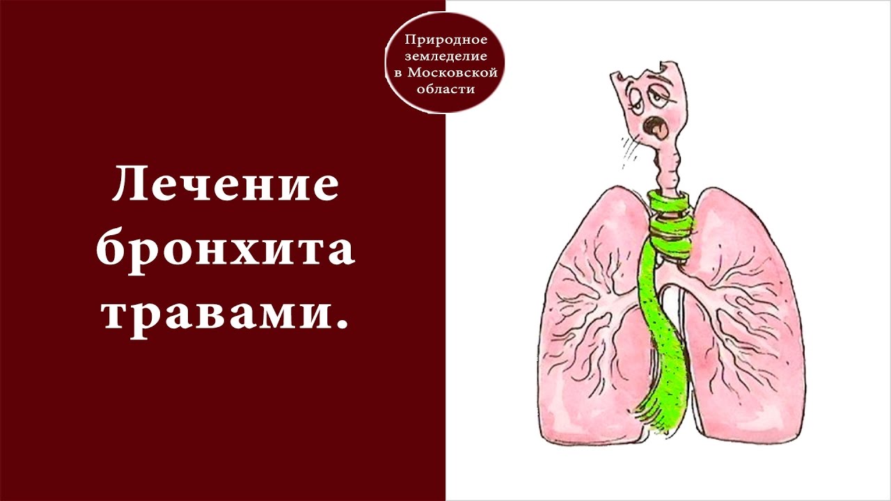 Бронхит симптомы и лечение в домашних условиях 31