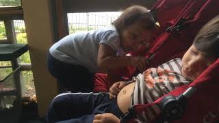 2014-09-11 Olivia Tries To Eat Milos Belly On
