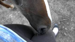 Jax Tickling Mama...