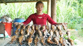 Pull Fishing Nets - Marinate, Smoked Fish Processing, Goes To Market Sell