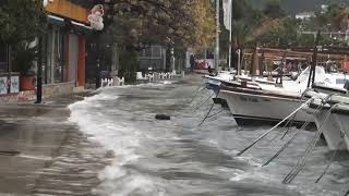 Plima Budva