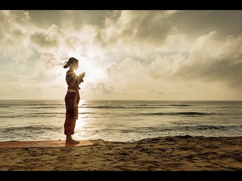 How to Do Surya Namaskar (for Beginners) - D