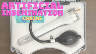 Artificial Insemination Device For Dogs And Dog Breeders
