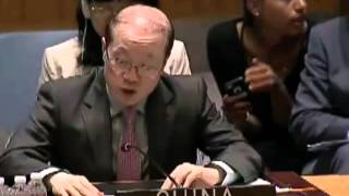 Китай требует прекращения огня на Украине 06.08.2014 Совбез ООН