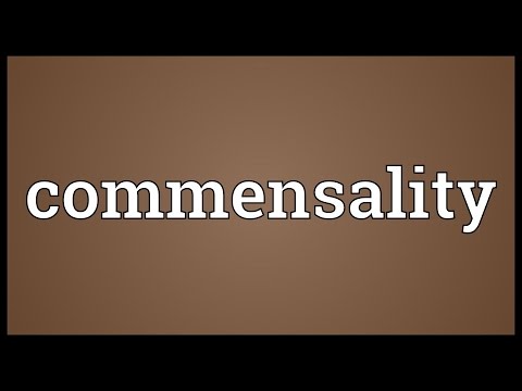 Header of commensality