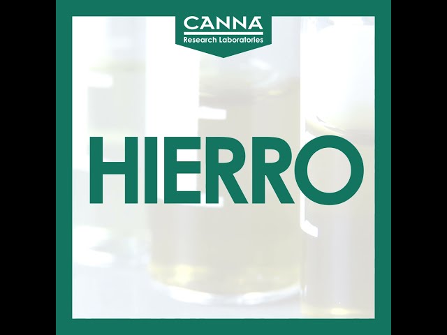 Watch HIERRO - Carencia Mononutrientes - Guía Deficiencia CANNA on YouTube.