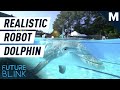 These Hyper-Realistic Robotic Dolphins Could Save Captive Show Dolphins | Future Blink