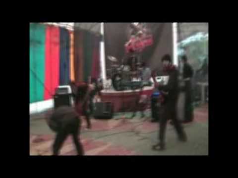 OBLIVIOUS INSANITY - people = shit cover