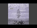 Promises (David Guetta Remix)