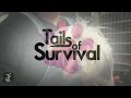 Tessa the Dog that Suddenly Went Blind - Tails of Survival