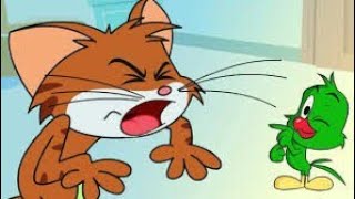 Cat & Keet Intro Cat & Keet Cartoon