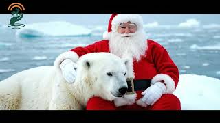 Santa Saves A Polar Bear Cub On Melting Ice Signalrescues