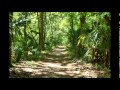 mang koko - girimis kasorenakeun download mp3 dan video mang koko - girimis kasorenakeun