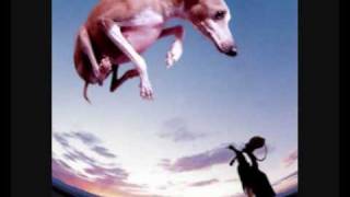 Watch Paul Gilbert Wrong Man video