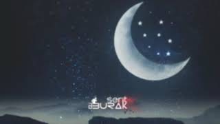 Burak Şerit & Ferman Eren Nerkis & Dylan - Son Kadehim Official Remix Version
