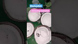 Mashaallah Coconut After Cutting