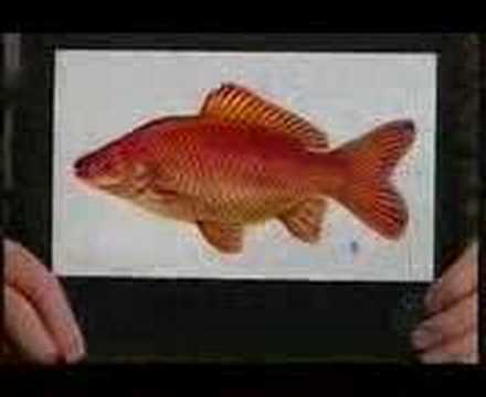 Emile de Ravin on Late, Late Sh...