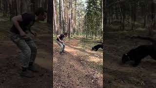 Leopard Game