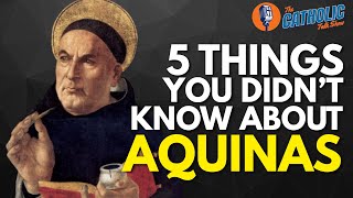 Summa This, Summa That: All About Aquinas With Matt Fradd | The Catholic Talk Show