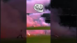 PiglnDEPcws Video Image