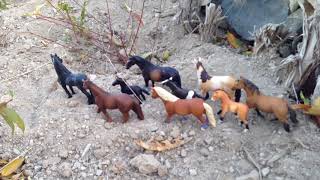Story of a Herd| Schleich Horse Short Movie|