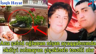 Ana Şəhid Oğlunun Nişan Ayaqqabısında Əkdiyi Solmayan Çiçəklərlə Təsəlli Alır