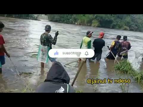 PELADU,,,, sepanjang Brantas Blitar,,, Tulung agung,, kediri