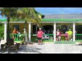 Lorrin Lee's HALF MOON CAY. Bahamas. Caribbean. Noordam Cruise. Steel Drums. Horses.