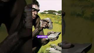 İlk Taş Alet Nasil Yapilmiştir?