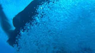 H2O Mako Mermaids - All Mermaid Transformation Season 1