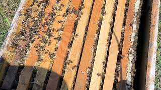 Bölme tahtası ile kapatılmayan arılar boşa dalak yapar.. Arılarda boşluk bırakma