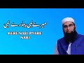 Mere Nabi Pyare Nabi naat | Junaid Jamshed | Presented By Lyrics Naat official