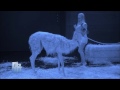 TOTAL BLACKOUT - LES COULISSES