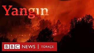 Yangın: Türkiye'nin alevlerle mücadelesi