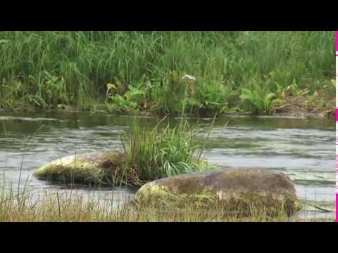 Самодельный микроджиг Самодельный микроджиг