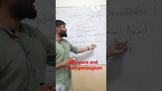 Zoospore and Zoosporangium