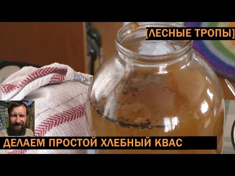 Приготовить квас своими руками Приготовить квас своими руками