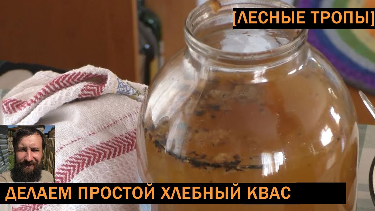 Квас в домашних условиях белый хлеб Квас в домашних условиях белый хлеб